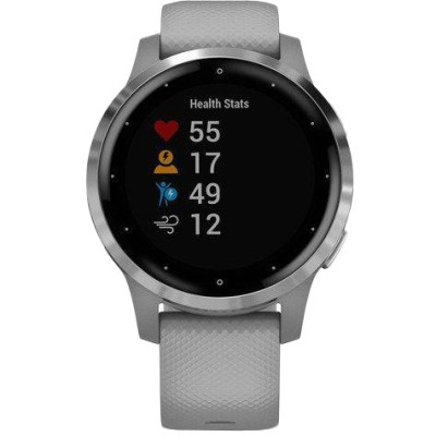 Garmin vivoactive 4S Gray/Silver (010-02172-03/010-02172-01)