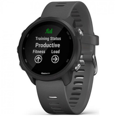 Garmin Forerunner 245 Slate Gray (010-02120-00)