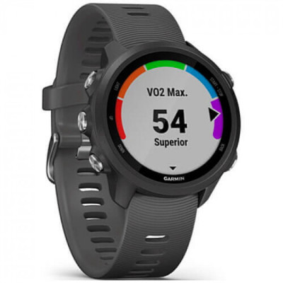 Garmin Forerunner 245 Slate Gray (010-02120-00)