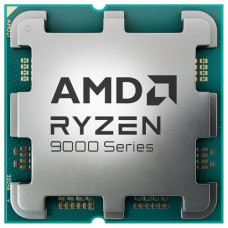 AMD Ryzen 9 9900X (100-000000662)