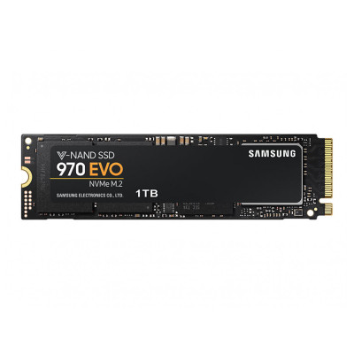 Samsung 970 EVO 1 TB (MZ-V7E1T0BW)