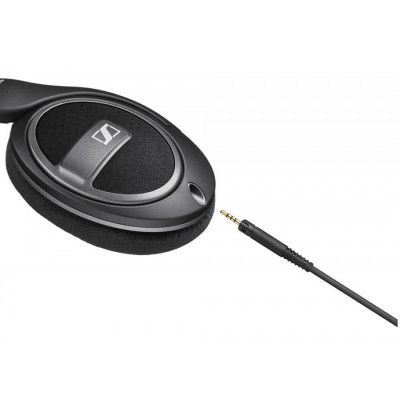 Sennheiser HD559