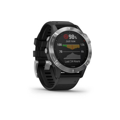 Garmin Fenix 6 Silver (010-02158-00)