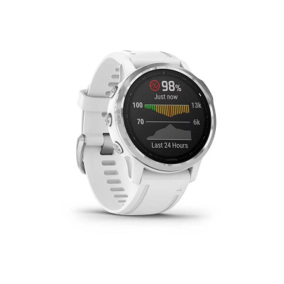 Garmin Fenix 6S Silver/White (010-02159-00)