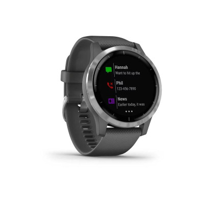 Garmin vivoactive 4 Shadow Gray/Silver (010-02174-03/010-02174-01)