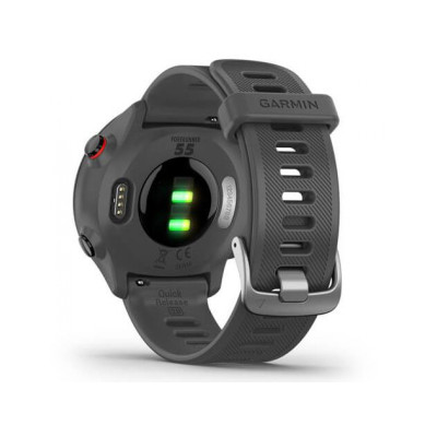 Garmin Forerunner 55 Monterra Grey (010-02562-13)