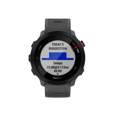 Garmin Forerunner 55 Monterra Grey (010-02562-13)