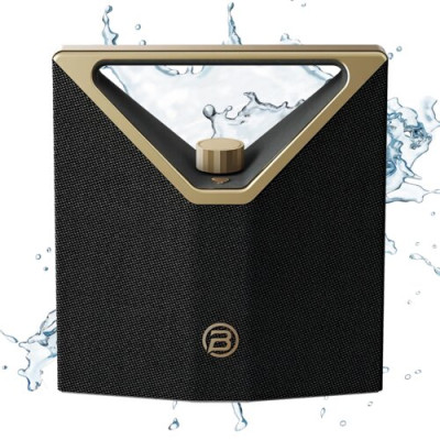 Bugani Brief Plus Black/Gold 