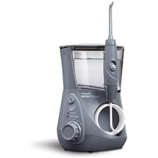 Waterpik Modern Grey Aquarius WP-667