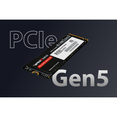 PATRIOT Viper PV593 4 TB (PV593P4TBM28H) 