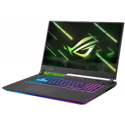 Asus ROG Strix G17 G713RM (G713RM-LL056)