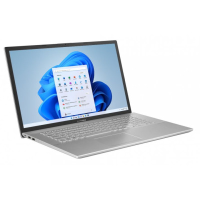  ASUS VivoBook 17 X712JA (X712JA-212.V17WN)