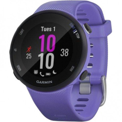 Garmin Forerunner 45s Iris (010-02156-11/010-02156-01)