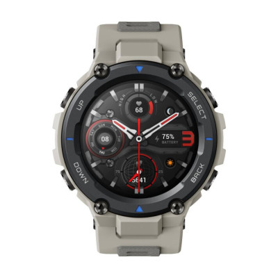 Amazfit T-Rex Pro Desert Grey