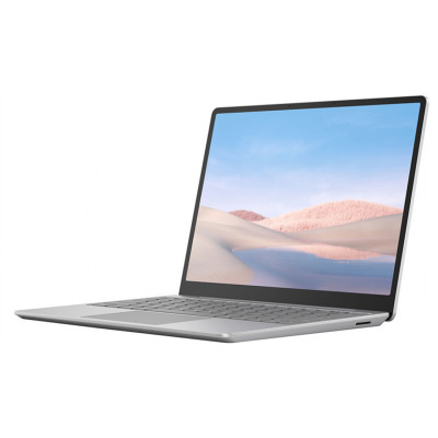 Microsoft Surface Laptop Go Platinum (THH-00001)