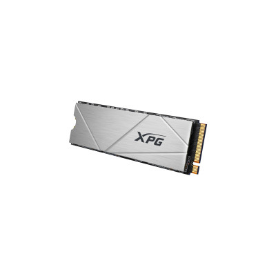 ADATA XPG GAMMIXS60 2 TB (AGAMMIXS60-2T-CS)
