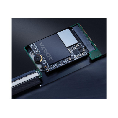ADATA GAMMIX S55 2 TB (SGAMMIXS55-2T-C)