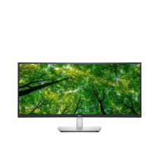 Dell P3424WE (210-BGTY)