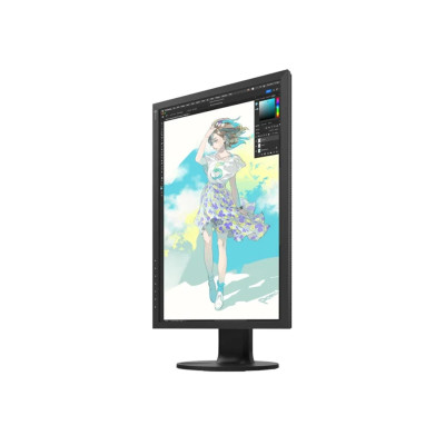 Eizo ColorEdge CS2400R ColorNavigator (CS2400R)