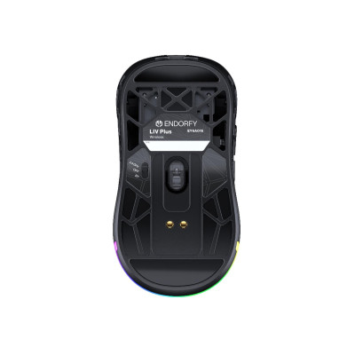 ENDORFY LIV Plus Wireless