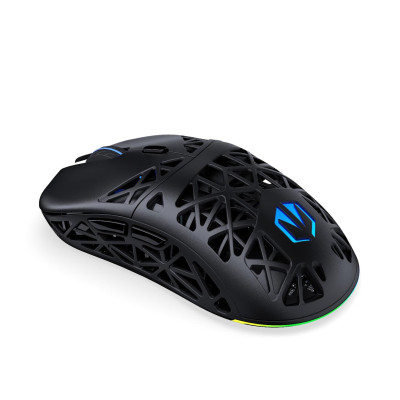 ENDORFY LIV Plus Wireless