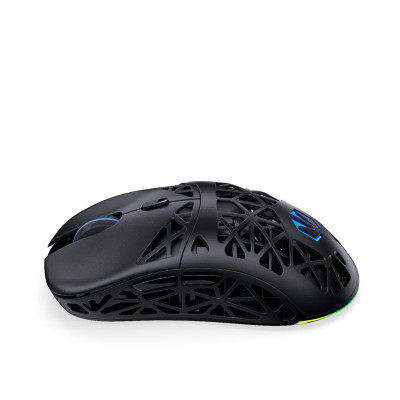 ENDORFY LIV Plus Wireless