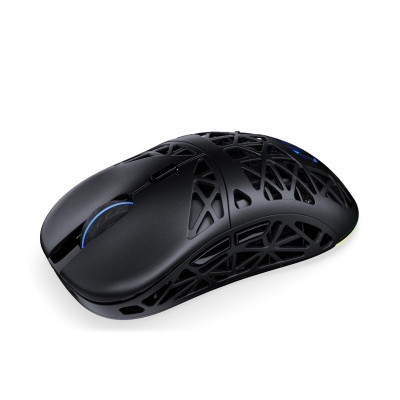 ENDORFY LIV Plus Wireless
