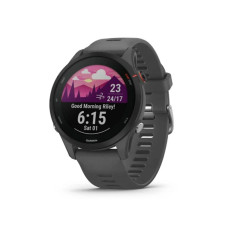 Garmin Forerunner 255 Slate Gray (010-02641-00/10/43)