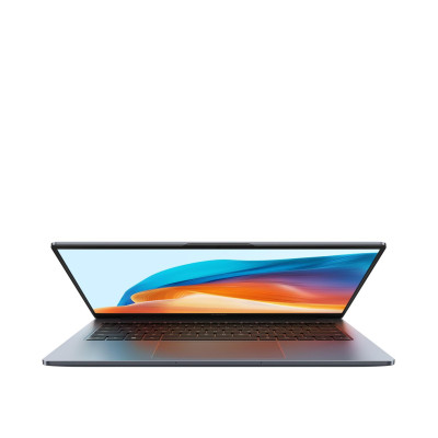 HUAWEI MateBook D 14 2024 (MendelG-W5651D)