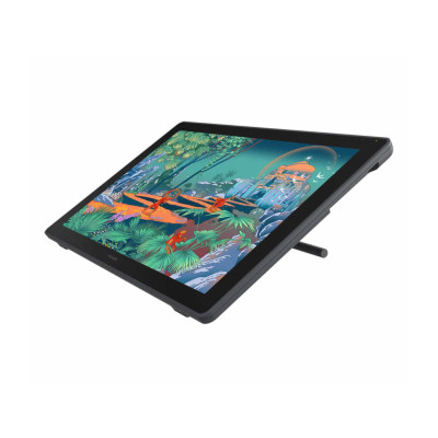 Huion Kamvas 24 Plus (GS2402)