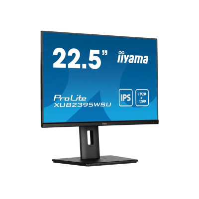 iiyama ProLite XUB2395WSU-B5