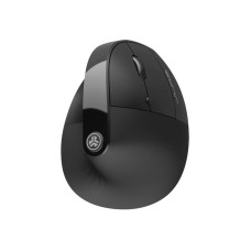 Jlab JBuds Ergonomic