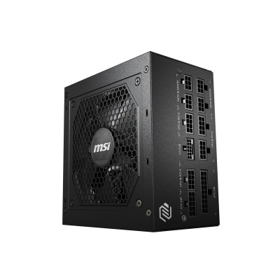 MSI A750GL 750W 80 Plus Gold ATX 3.0 (MAG A750GL PCIE5)