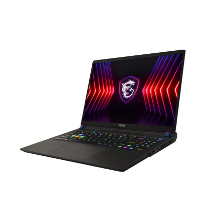 MSI Vector 16 HX A14VGG (A14VGG-296PL)