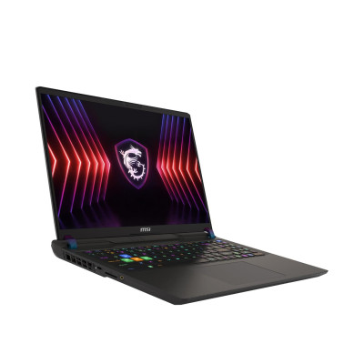 MSI Vector 16 HX A14VGG (A14VGG-296PL)