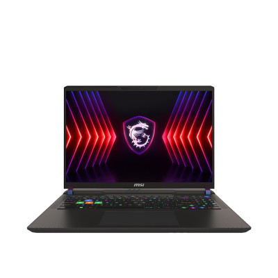 MSI Vector 16 HX A14VGG (A14VGG-296PL)