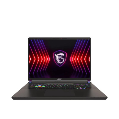 MSI Vector 17 HX A13VIG (A13VIG-833PL)