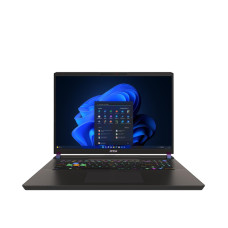 MSI Vector 17HX A14VGG (A14VGG-221PL)