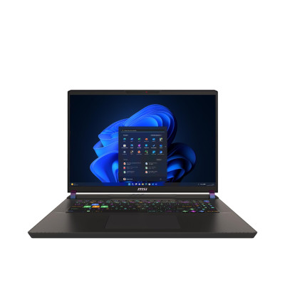 MSI Vector 17HX A14VGG (A14VGG-221PL)