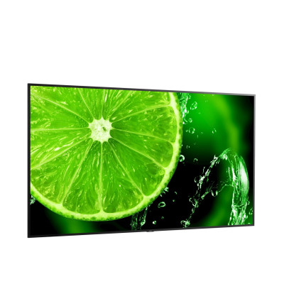 Nec MultiSync E758 (60005157)