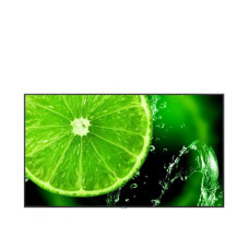 Nec MultiSync E868 (60005159)