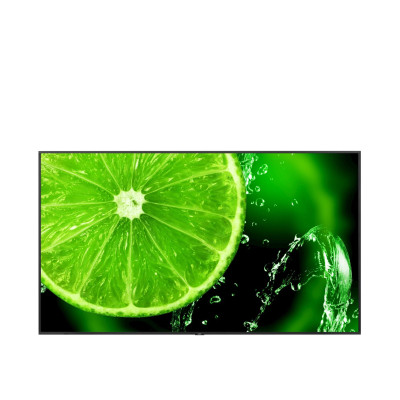 Nec MultiSync E988 (60005929)