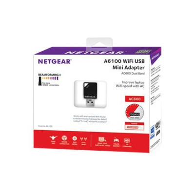 Netgear A6100 (A6100-100PES)