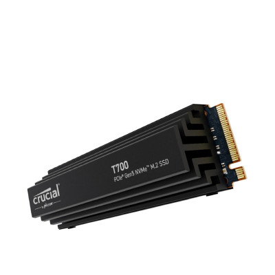 Crucial T700 1 TB with heatsink (CT1000T700SSD5)