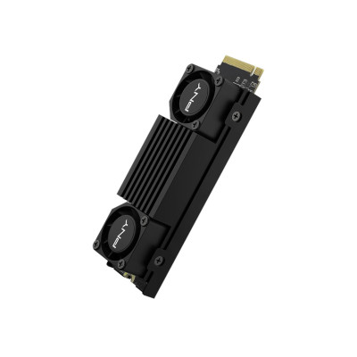 PNY 1TB M.2 PCIe Gen5 NVMe CS3150 Heatsink (M280CS3150HS-1TB-RB)