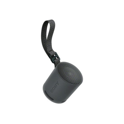 Sony SRS-XB100 Black (SRSXB100B.CE7)