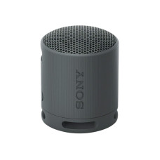 Sony SRS-XB100 Black (SRSXB100B.CE7)