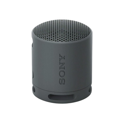 Sony SRS-XB100 Black (SRSXB100B.CE7)