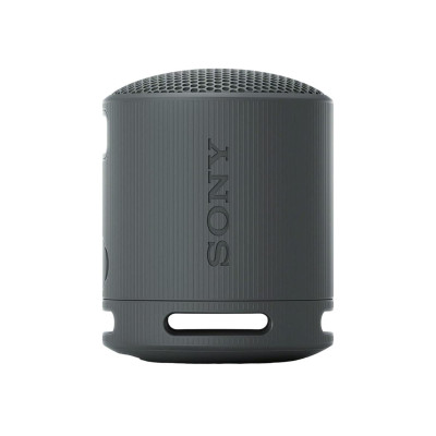 Sony SRS-XB100 Black (SRSXB100B.CE7)