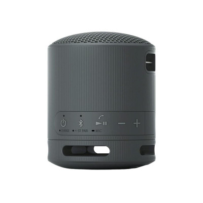 Sony SRS-XB100 Black (SRSXB100B.CE7)
